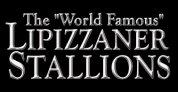Lipizzaner Stallions Lipizzaner Stallions